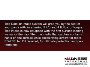 FIAT 500 Performance Air Intake System - Injen - Polished Finish - Manual Transmission